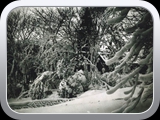 Moorfield snow 1940